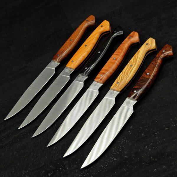 Set couteaux de table manche bois panaché